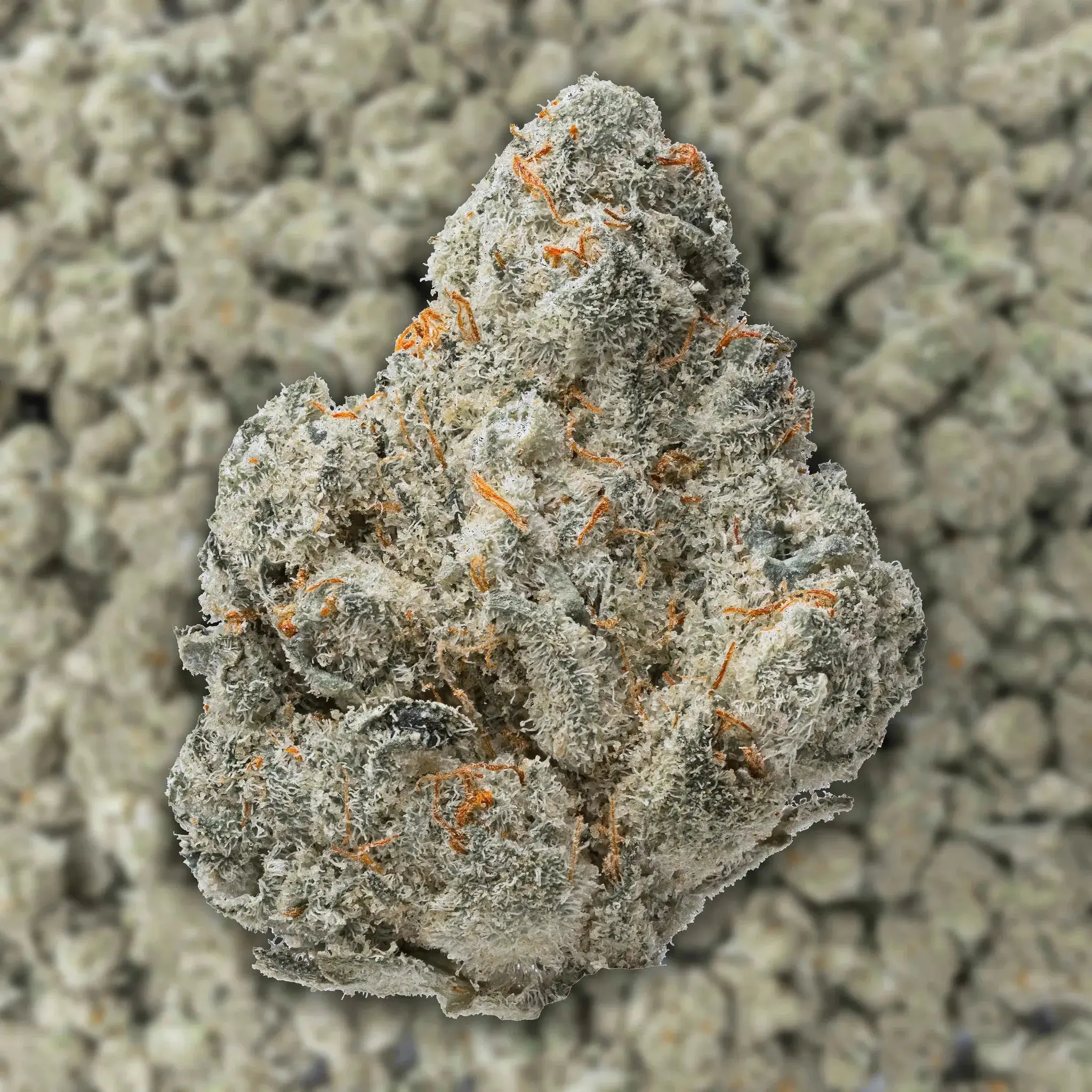 Durban Poison Smalls THCa Flower 3.5 Grams - Image 3